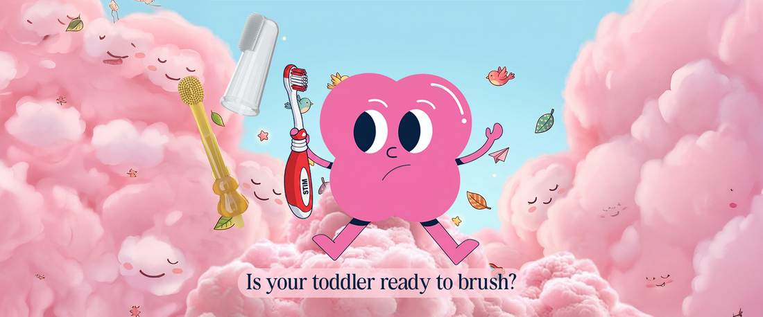 Best Toothbrush for Toddlers Learning to Brush