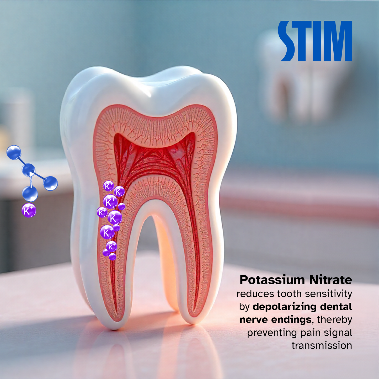 Sentim 100g - Toothpaste for Sensitive Teeth Stim Brushes