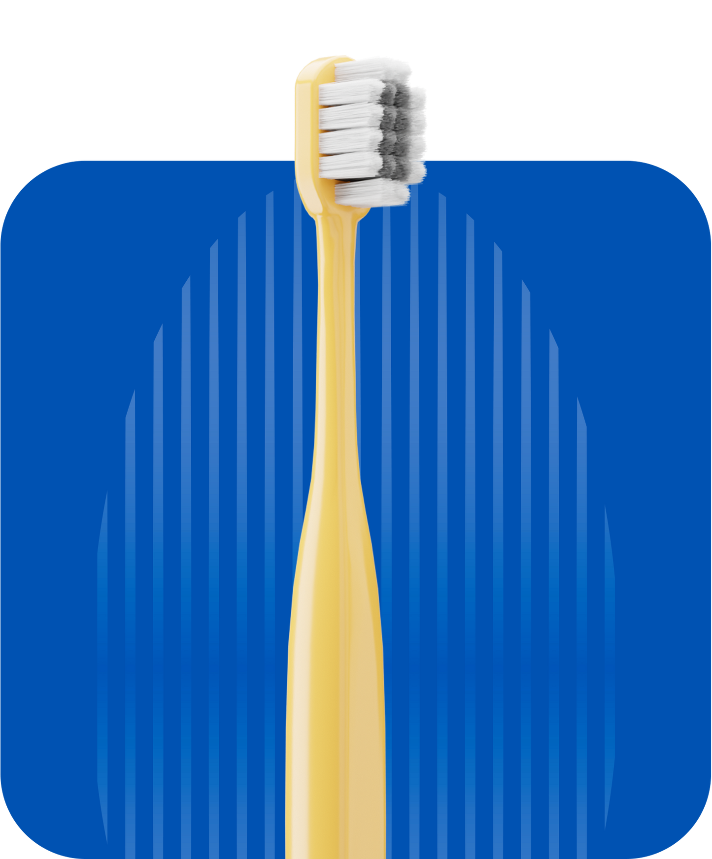 STIM Plus Toothbrush (Pack of 2) Stim Brushes