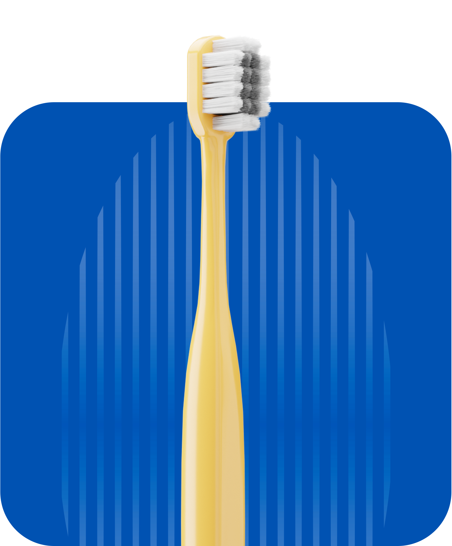 STIM Plus Toothbrush (Pack of 2) Stim Brushes